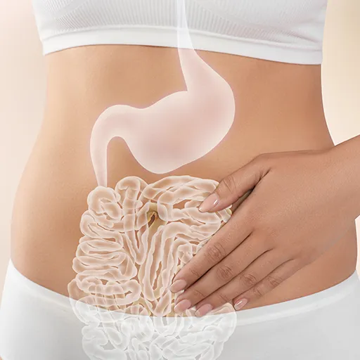 Gastrointestinal Health