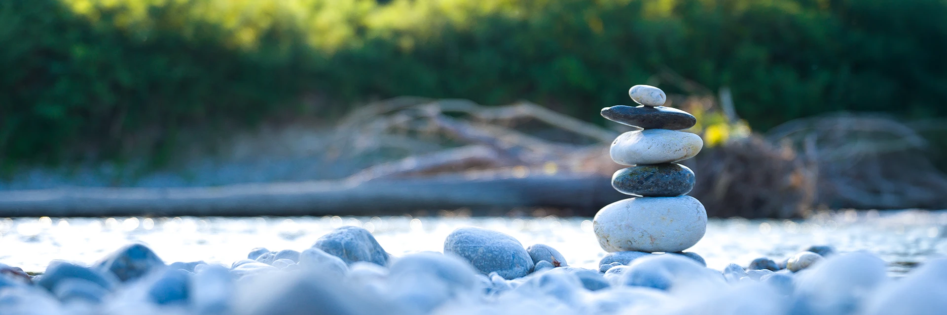 Holistic Integrative Health